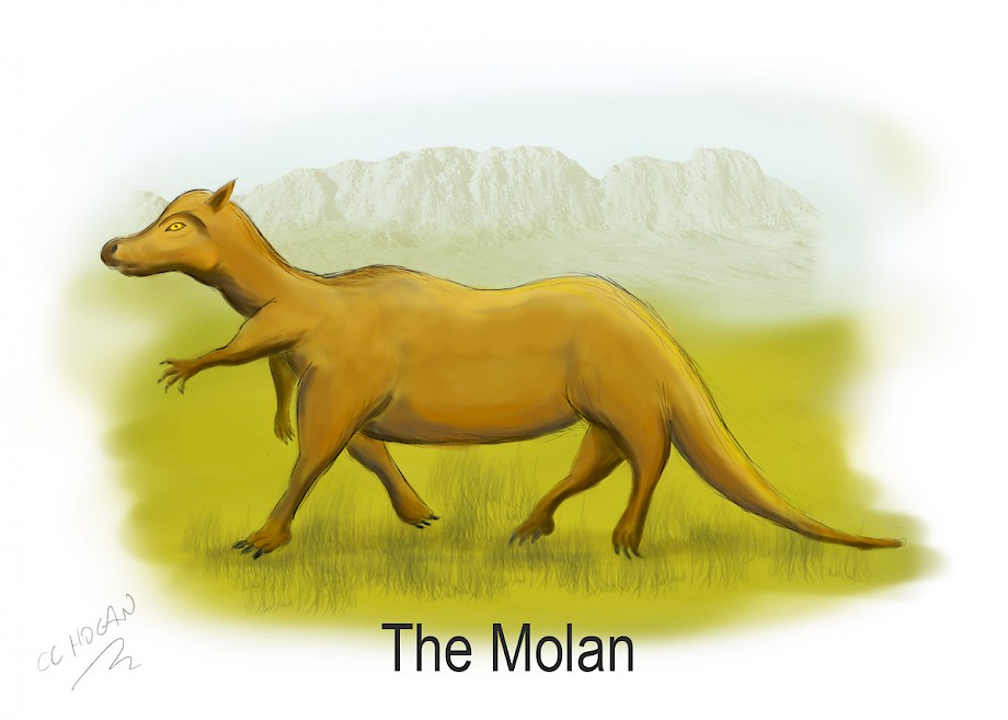 Molan